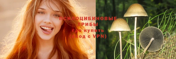 амф Новодвинск