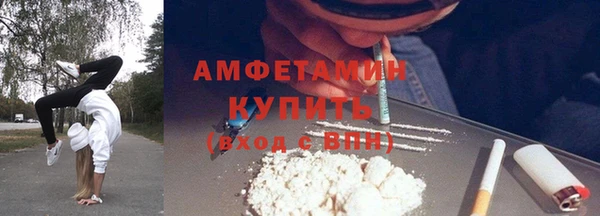 шишки Нягань