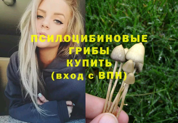 амф Новодвинск