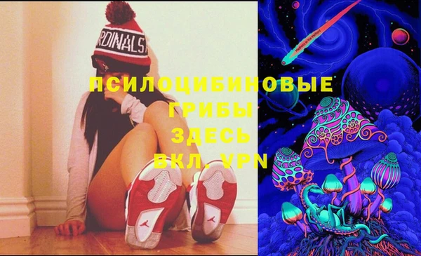 амф Новодвинск
