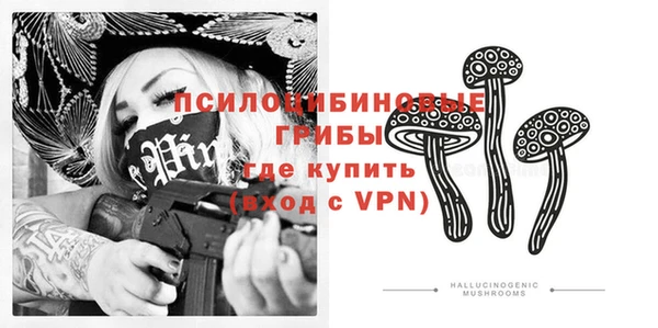 амф Новодвинск