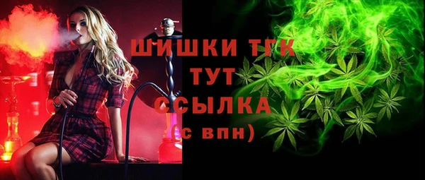 амф Новодвинск