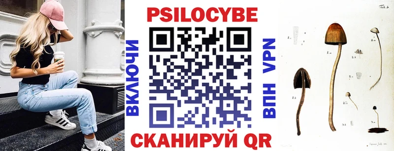где найти наркотики  Сысерть  Псилоцибиновые грибы мухоморы 